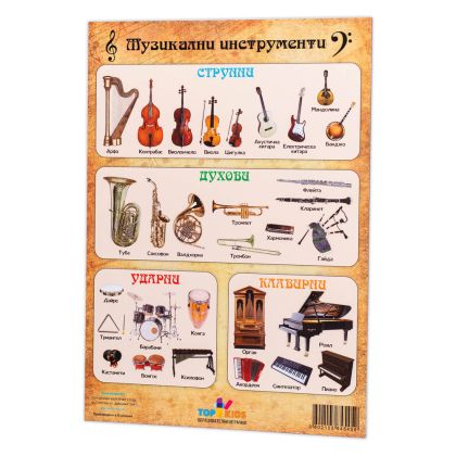 Образователно табло Музикални инструменти