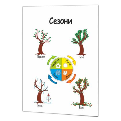 Образователно табло Сезони