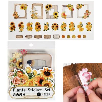 Стикери за декорация - Цветя и рамки