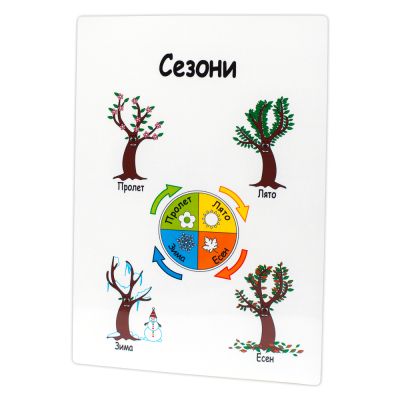 12 образователни табла