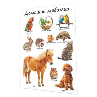 20 образователни табла Моите първи думички