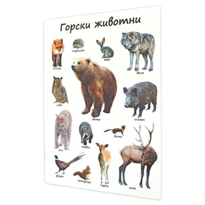 20 образователни табла Моите първи думички