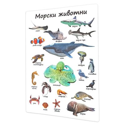 20 образователни табла Моите първи думички