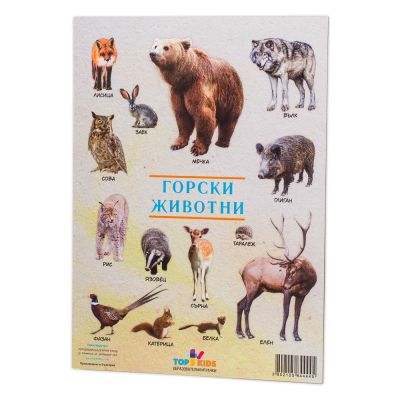 Образователно табло Горски животни