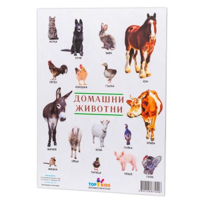 Образователно табло Домашни животни